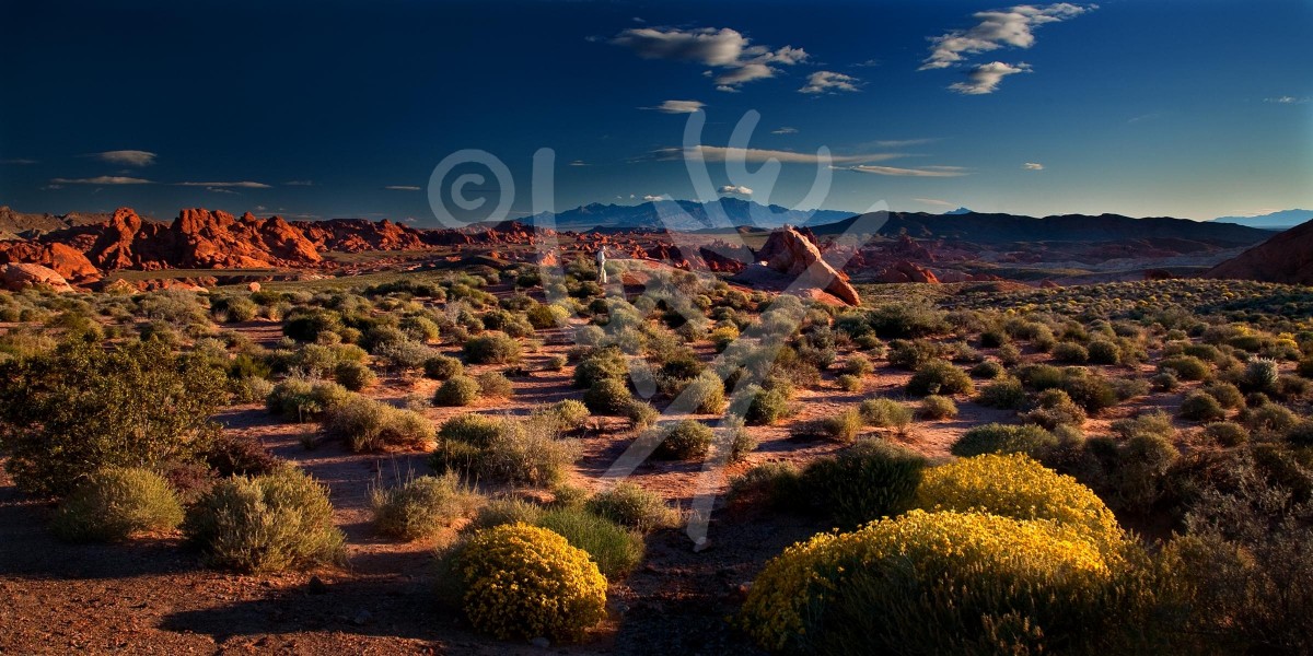NEVADA Valley of Fire